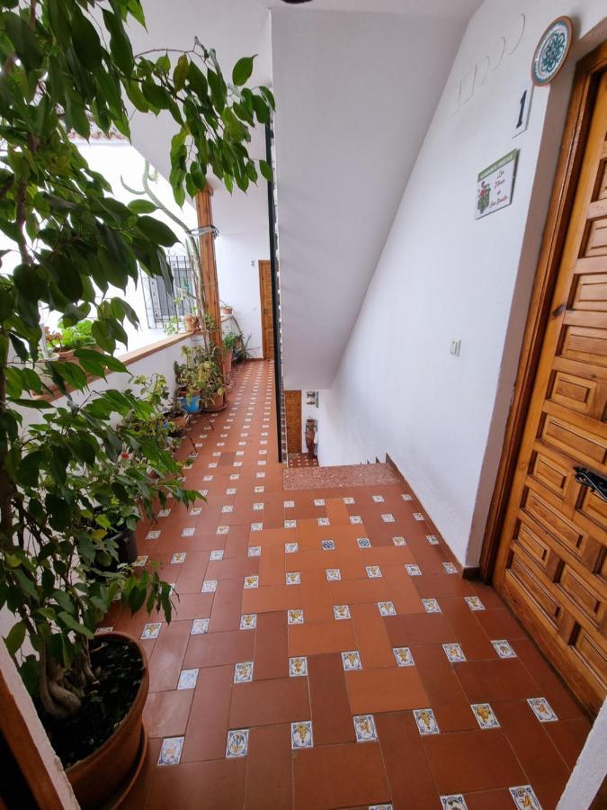 דירות קורדובה Apartamento Entre Patios San Basilio מראה חיצוני תמונה