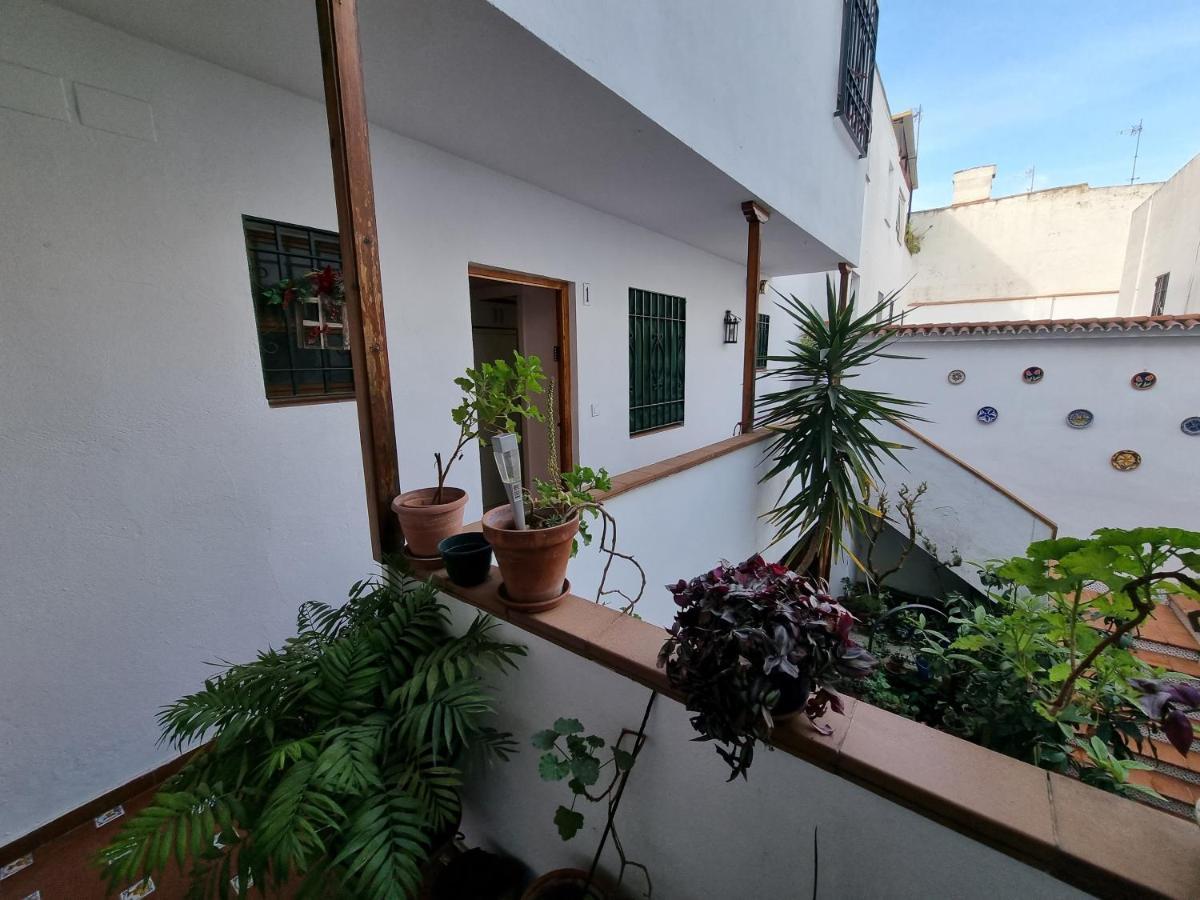 דירות קורדובה Apartamento Entre Patios San Basilio מראה חיצוני תמונה