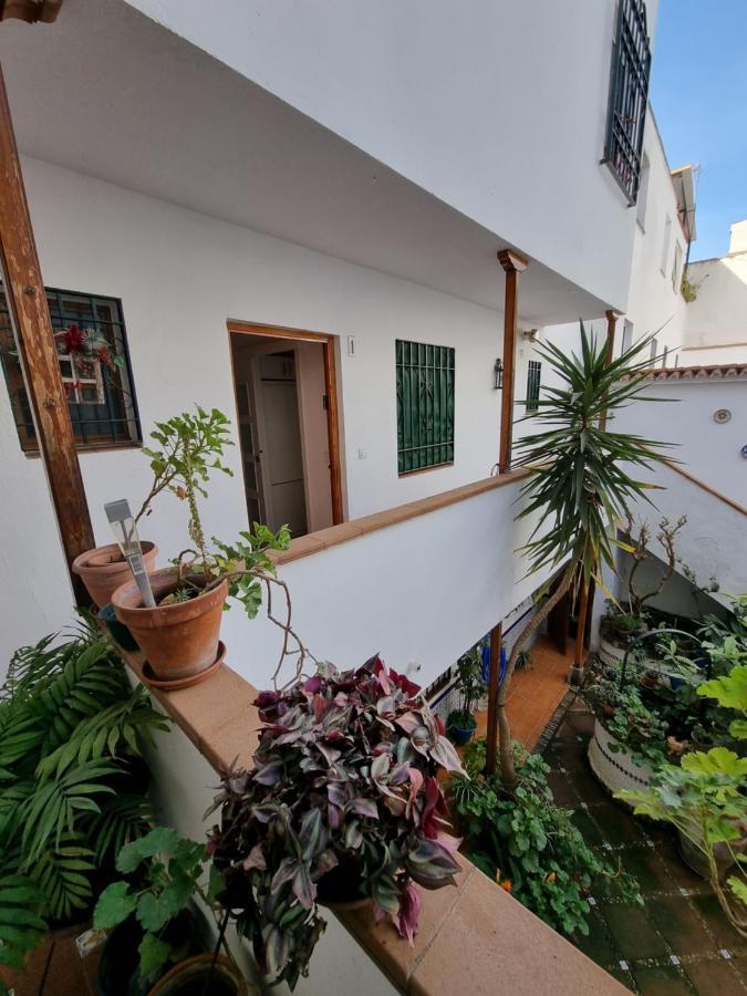 דירות קורדובה Apartamento Entre Patios San Basilio מראה חיצוני תמונה